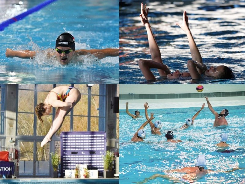 Natation / Nat. Artistique / Plongeon / Water-Polo